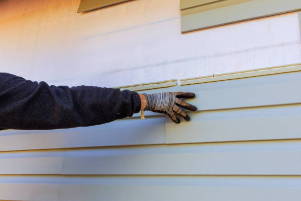  Rossvle, IL Siding Installation & Repair Pros